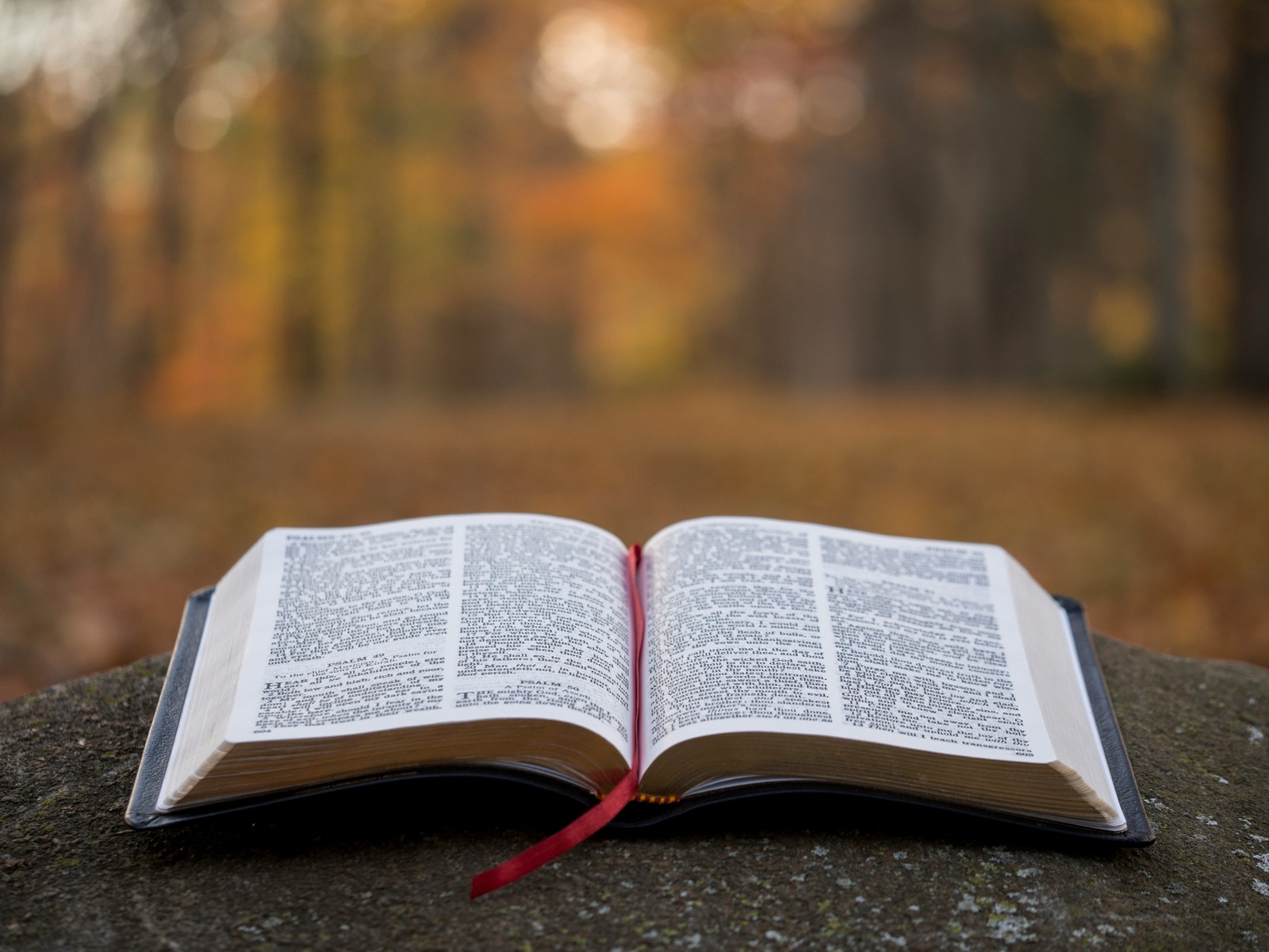 Open Bible on a stone surface outdoors