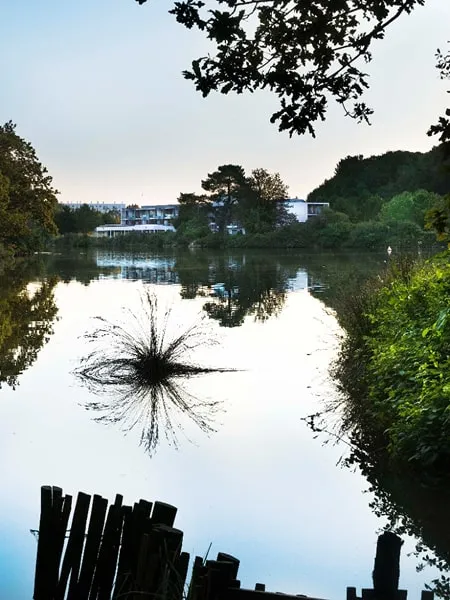 Peaceful view of the hotel and the lake reflecting the trees.