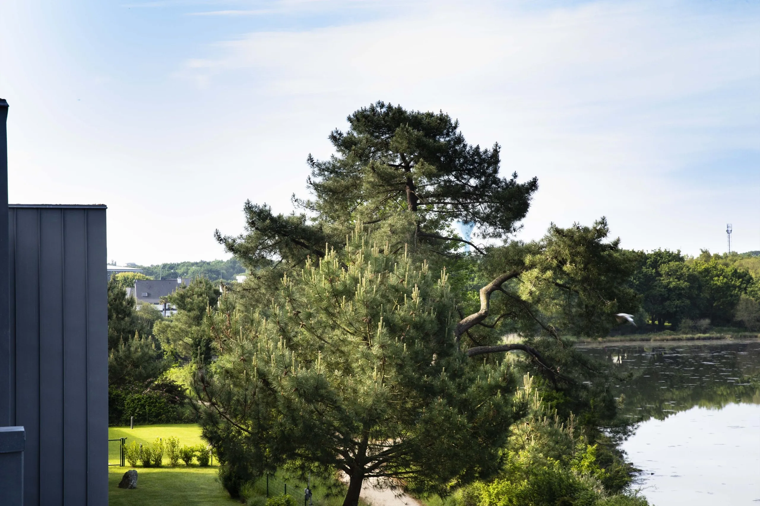 Dense green trees by the lake with part of the hotel building visible on the left under a clear sky.