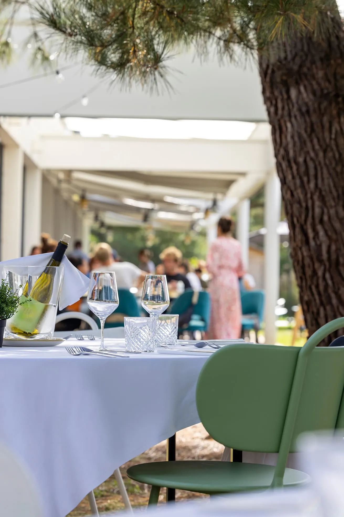 Table extérieure du restaurant avec bouteille de vin blanc dans un seau à glace, verres et couverts, et chaises vertes sous un arbre.