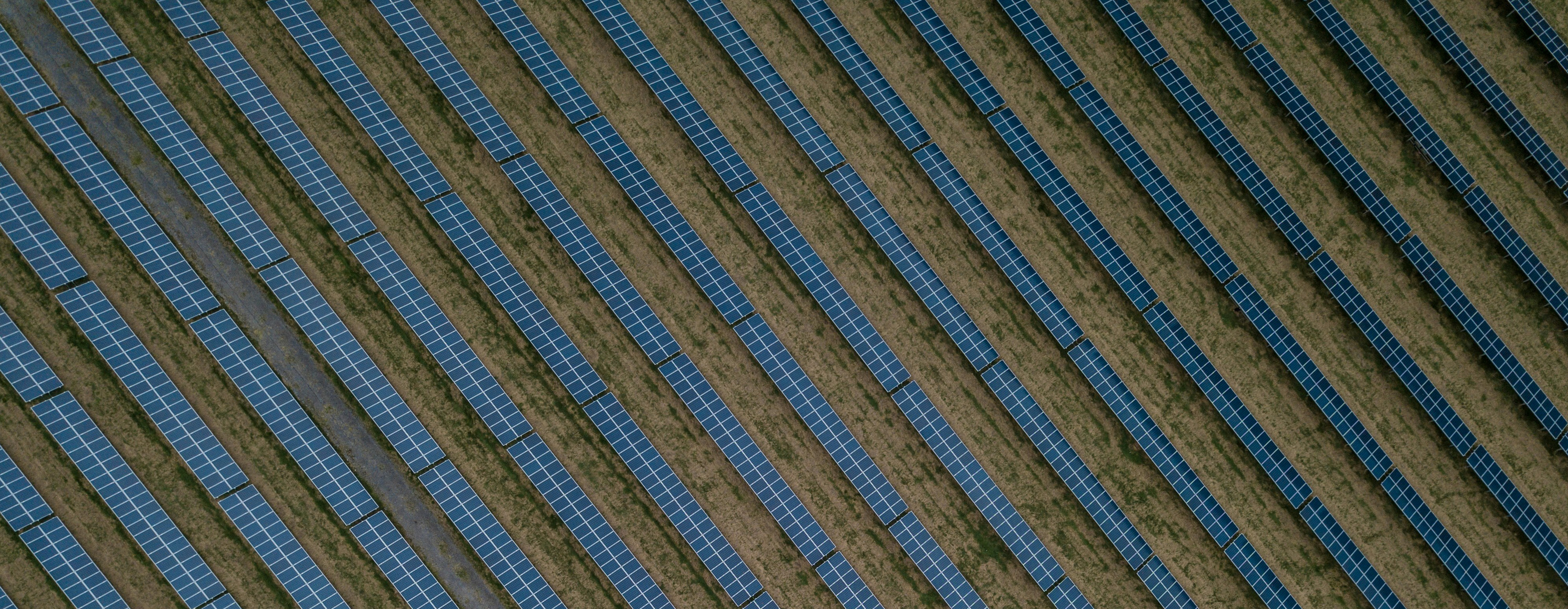 Blue 1 – From Open Fields to a 67 MWp Solar Asset