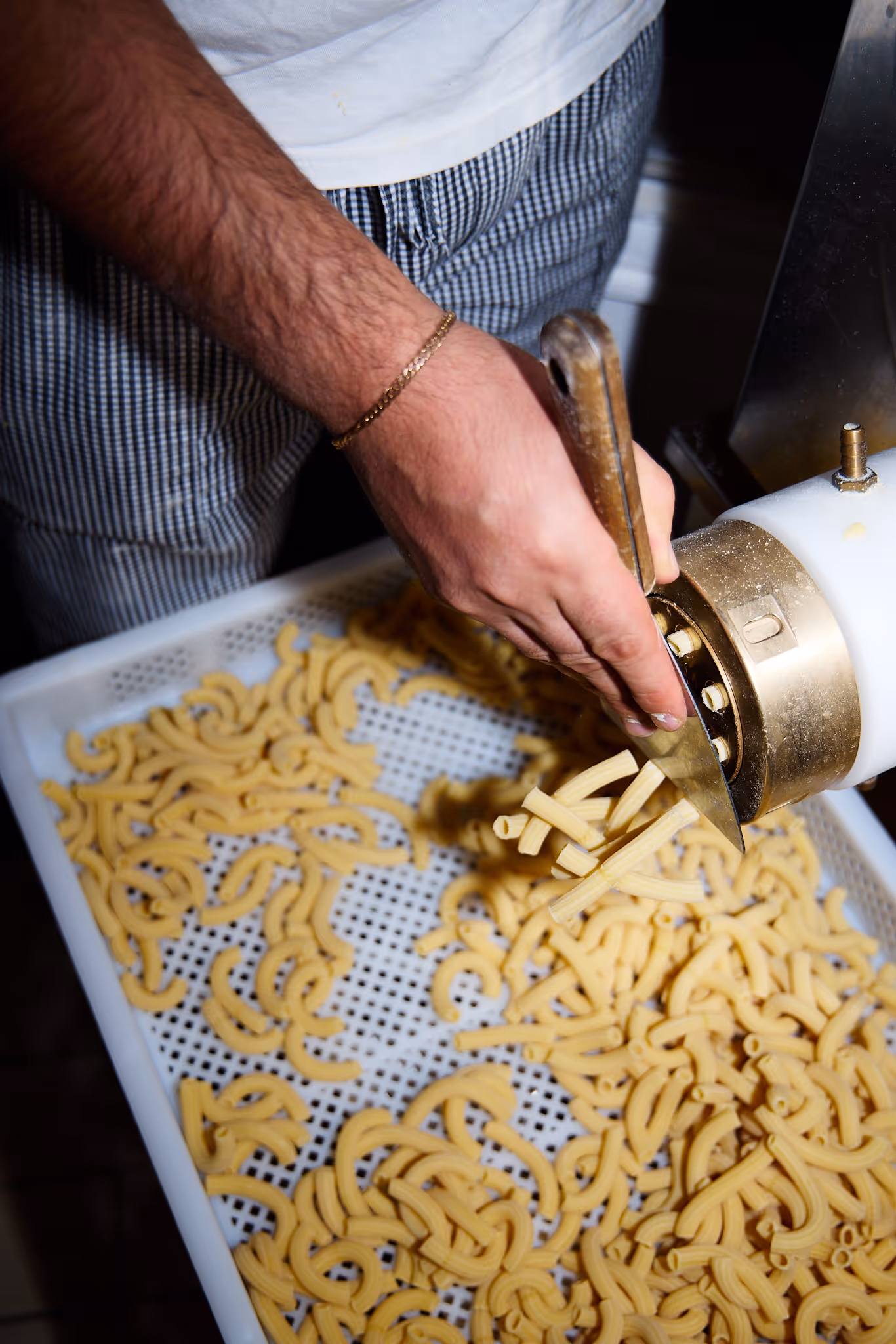 Hand guiding freshly extruded pasta from a metal and plastic machine onto a perforated tray.