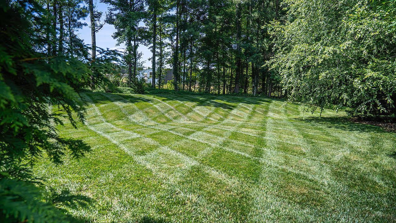 Professional lawn treatment services by Cornerstone Landscaping