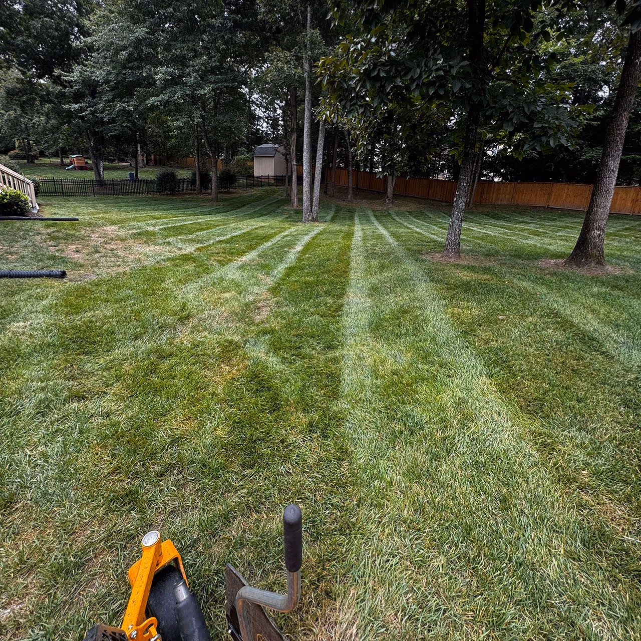 Reliable lawn care company near me