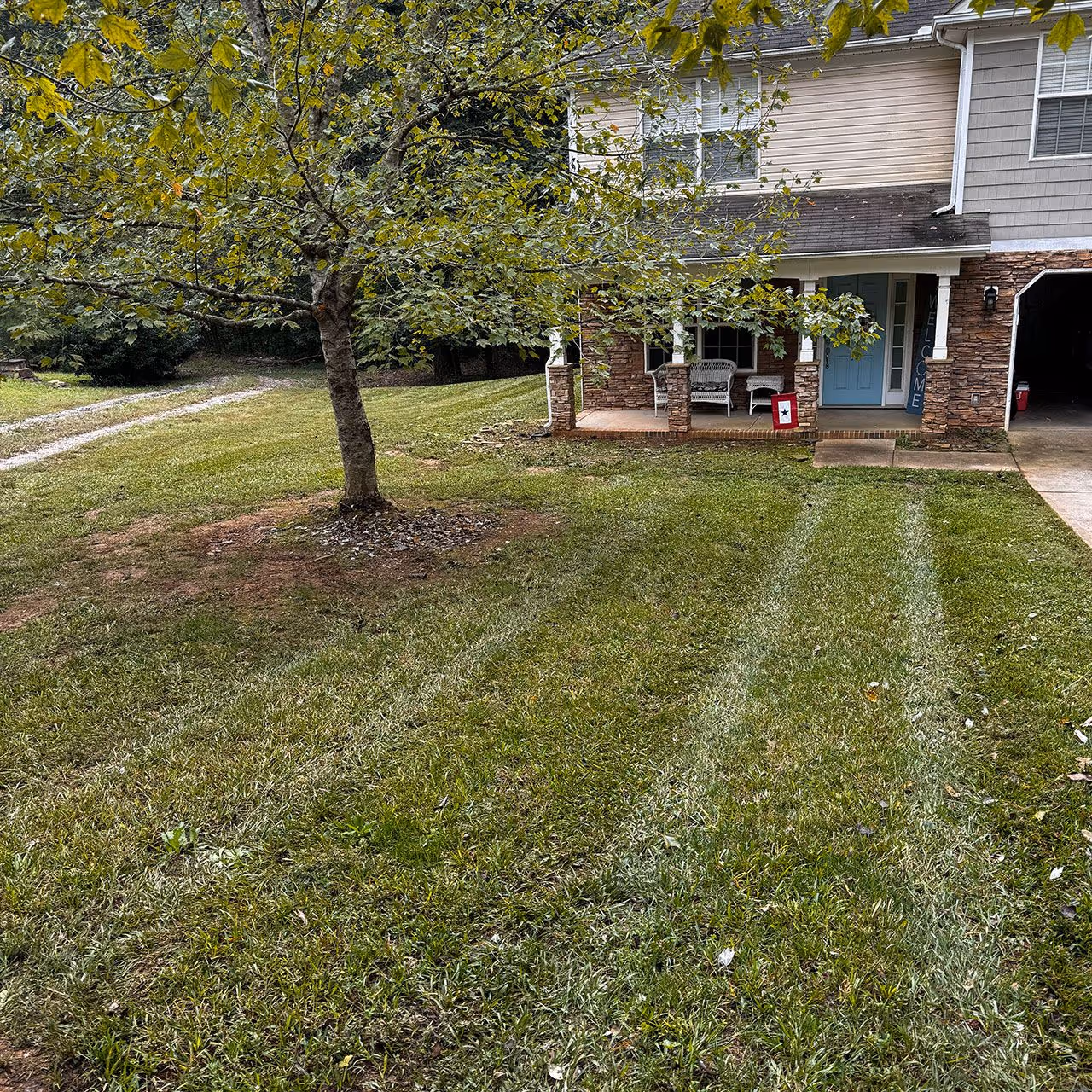 Seasonal property cleanup for residential landscapes