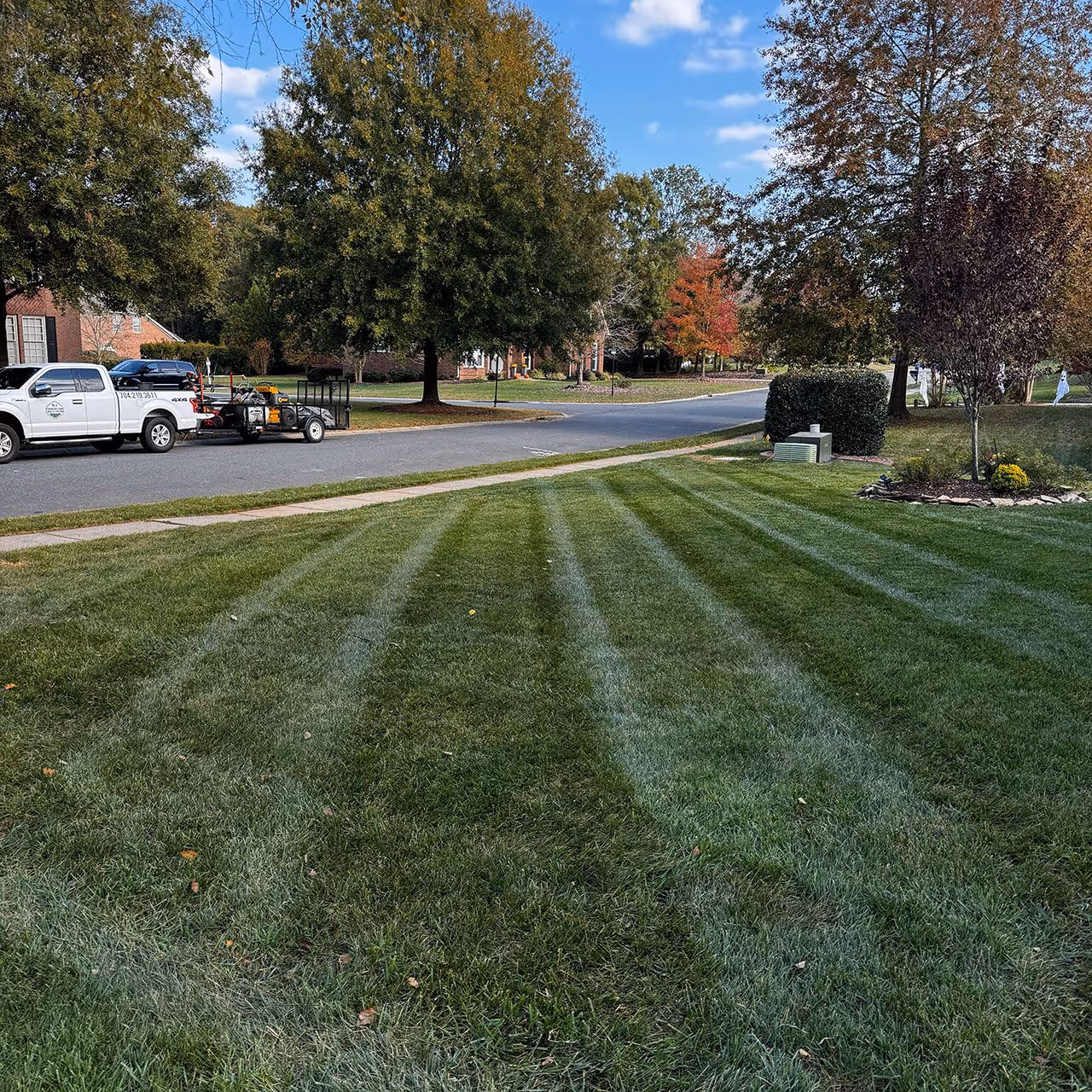 Fall yard cleanup and debris removal near me
