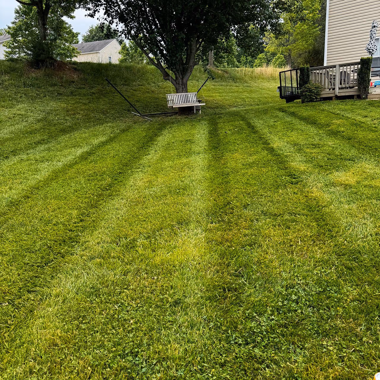 Weekly lawn care service by Cornerstone Landscaping