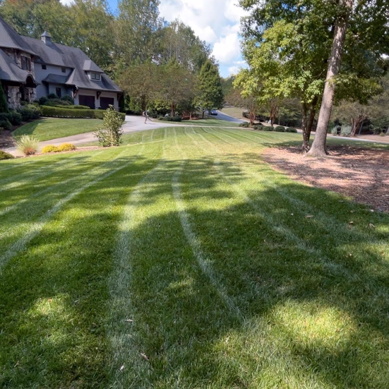 Reliable lawn care services in Waxhaw, Marvin, and Weddington, North Carolina