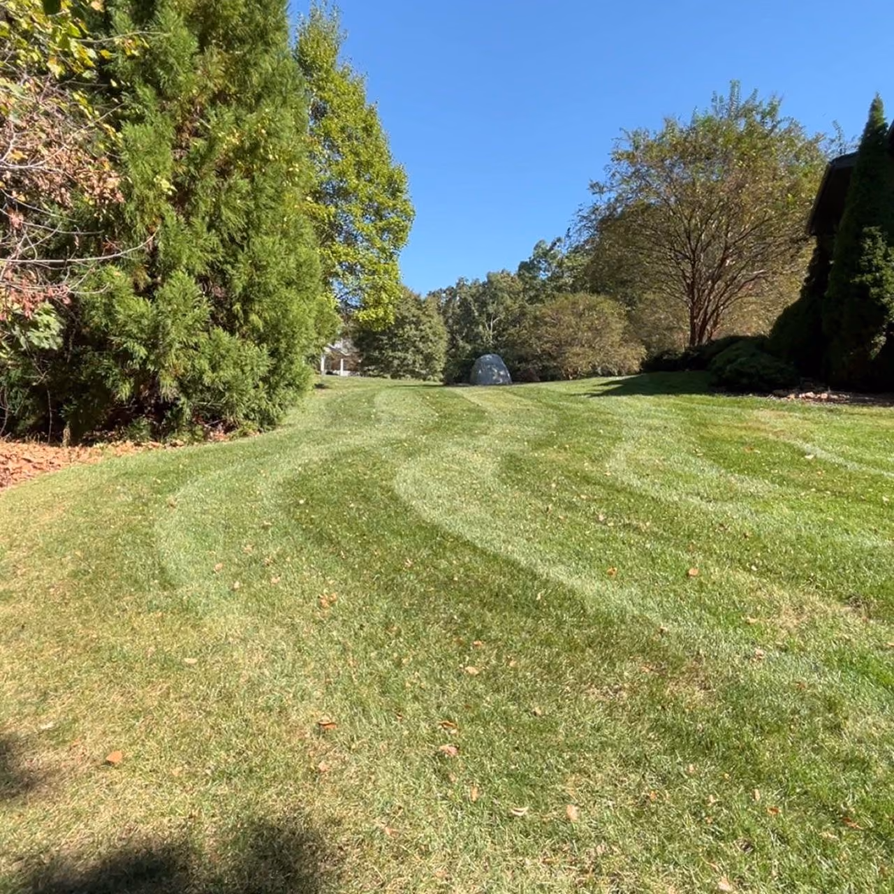 Beautifully maintained residential lawn with professional mowing and edging