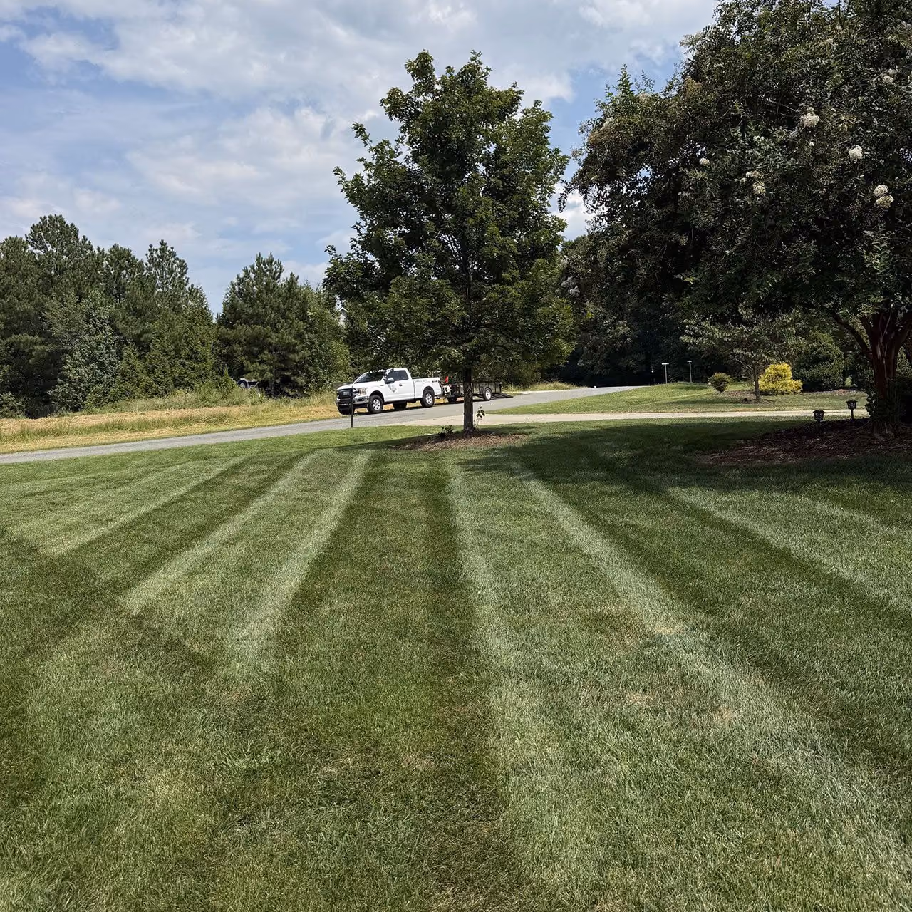 Healthy green lawn maintained by Cornerstone Landscaping
