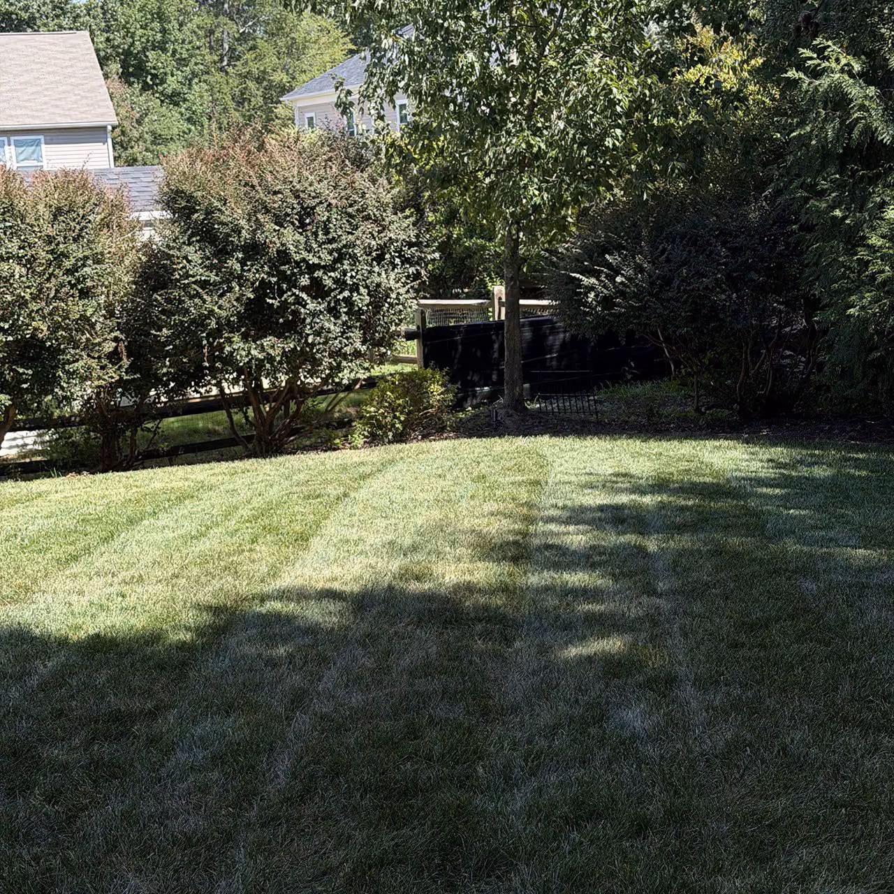 Premium lawn care and property maintenance services near me