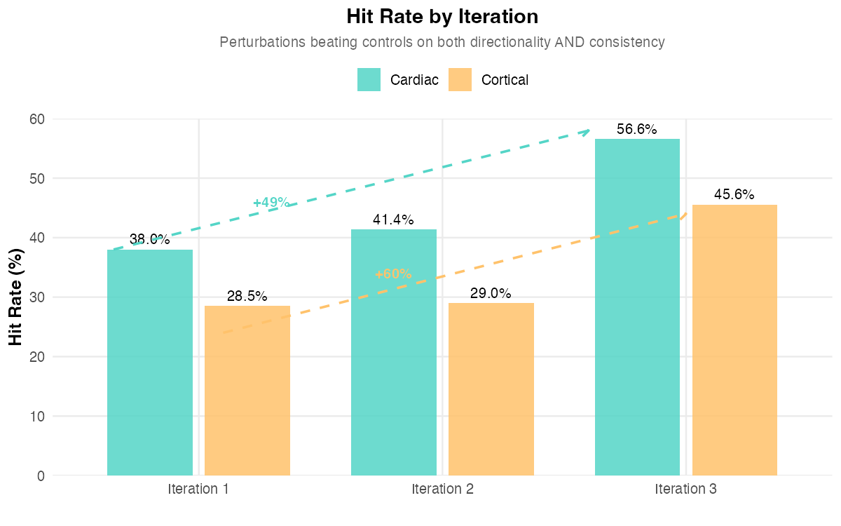 Grouped bar chart showing rising hit rates from Iteration 1 to 3 for Cardiac and Cortical conditions, with consistently higher performance in Cardiac.