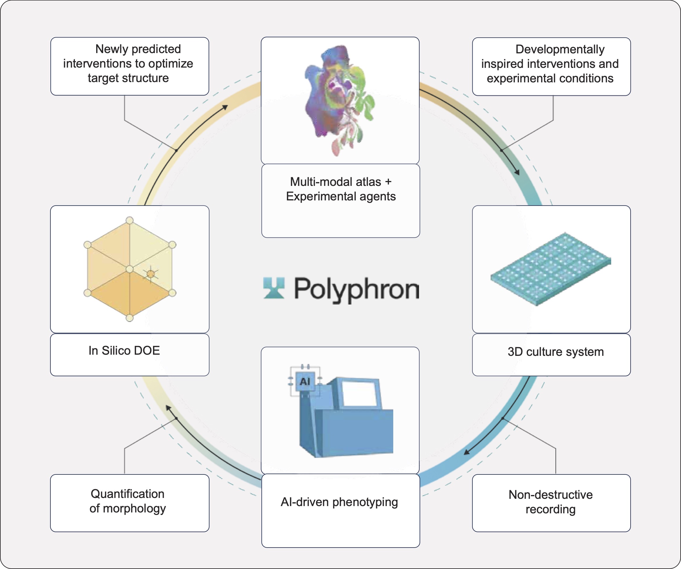 Bar chart showing hit rate increasing across three optimization cycles for both Cardiac and Cortical conditions, with Cardiac outperforming Cortical at each iteration.