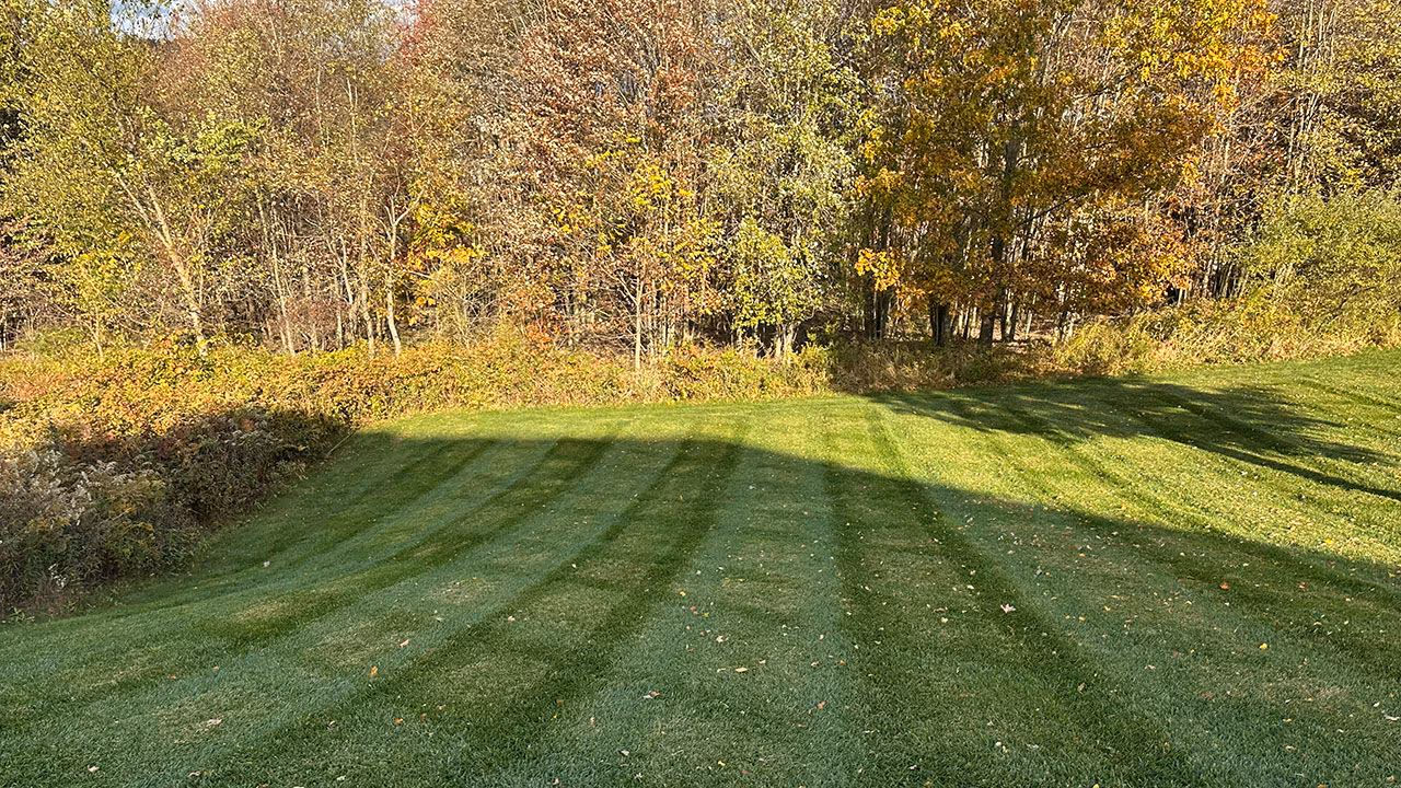 Fall cleanup services near me by Rosencrances Lawn and Landscape.