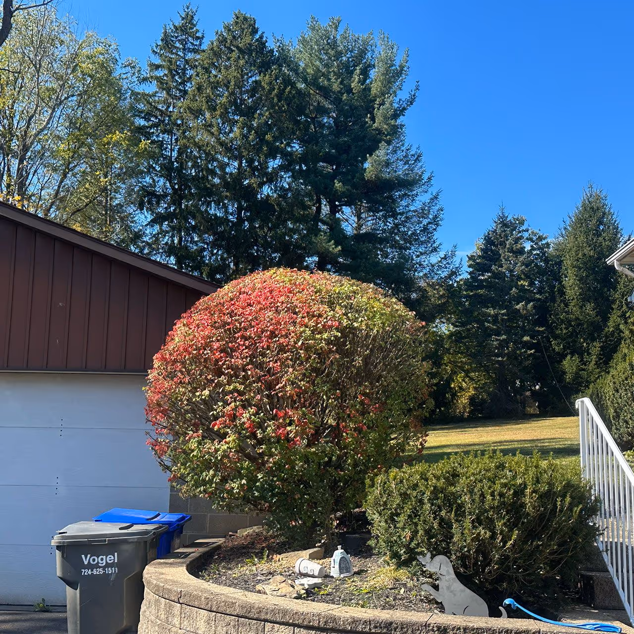 Shrub and plant pruning services in Wexford, PA