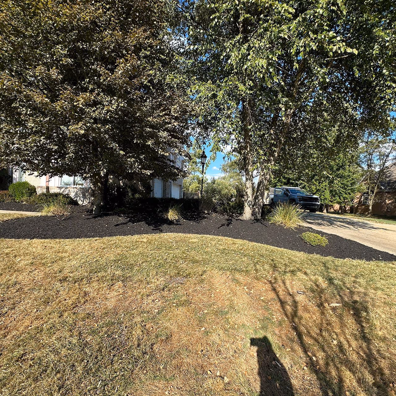 Property cleanup services near me