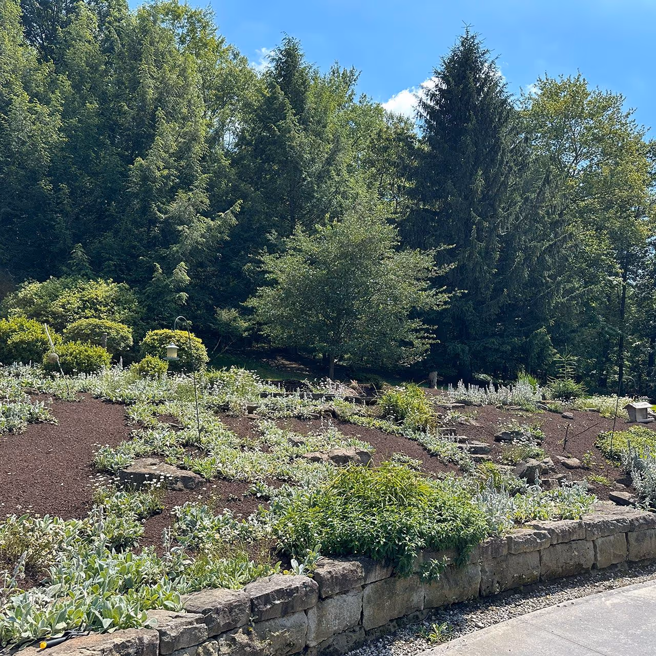 Spring cleanup services for a residential property in Butler, Pennsylvania