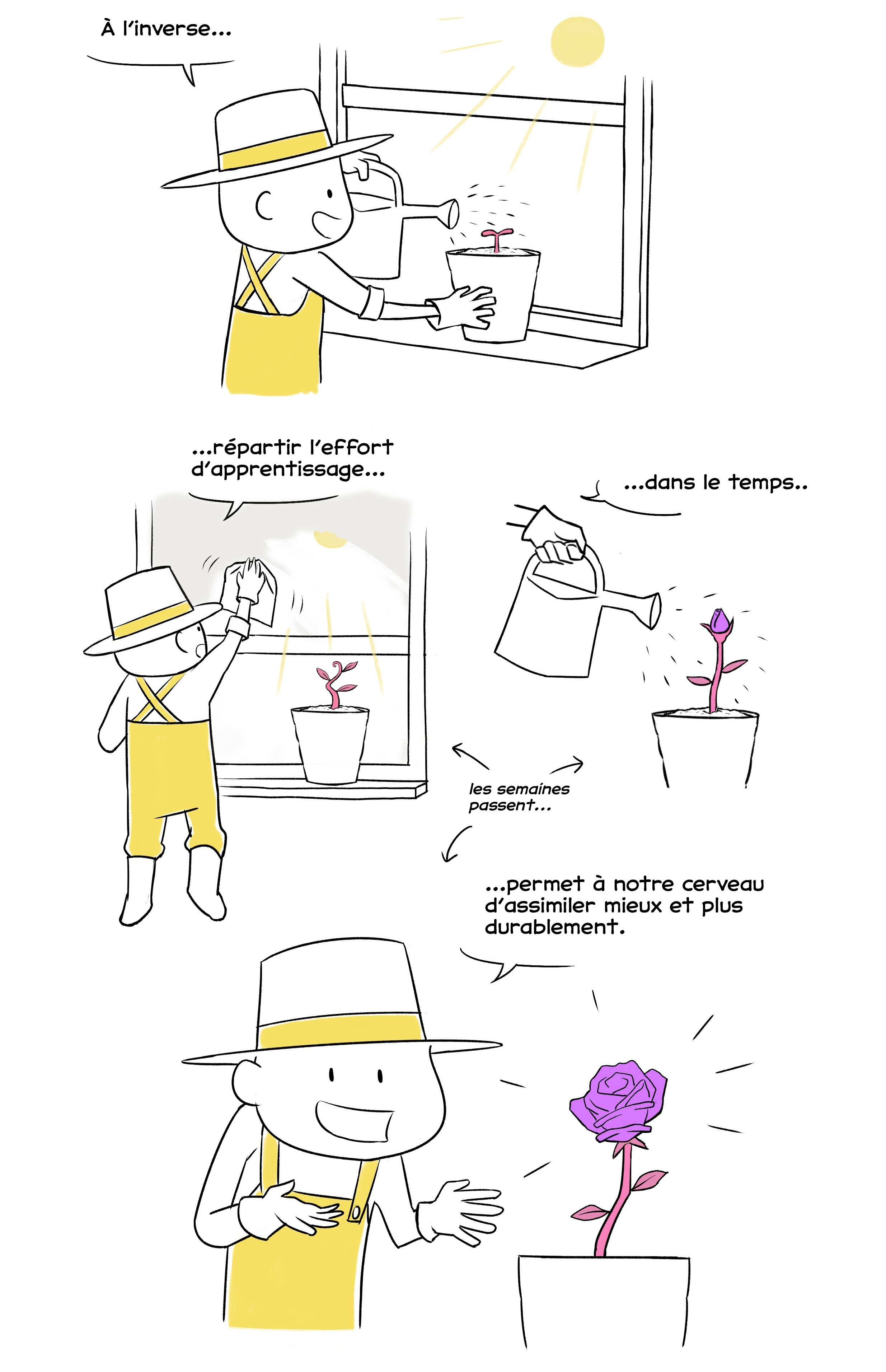 Effet de spacing pour un apprentissage durable : illustration 2