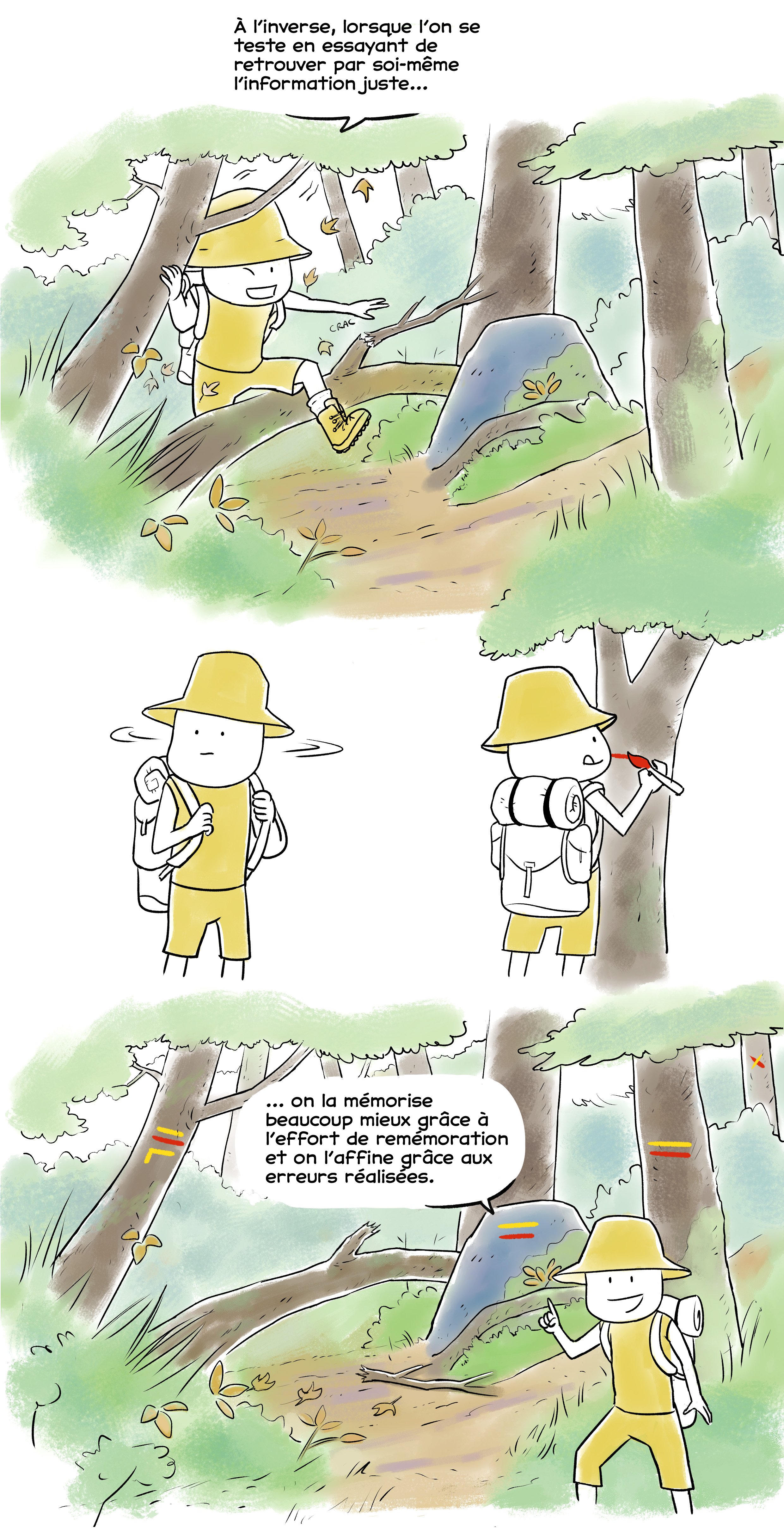 Une BD montrant ce qu'est le testing effect : il faut essayer de retrouver par soi-même l'information