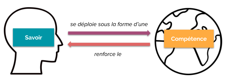 Schéma : savoirs et compétences se nourrissent l'un lautre