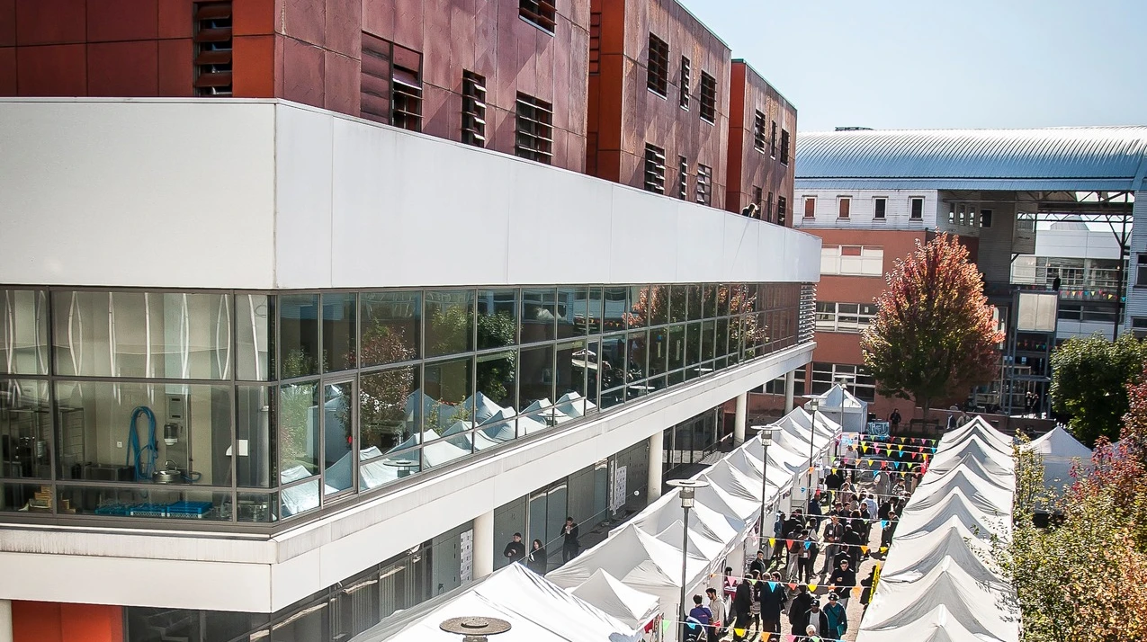 Paris 8 x Didask testimonial, soft skills training for students