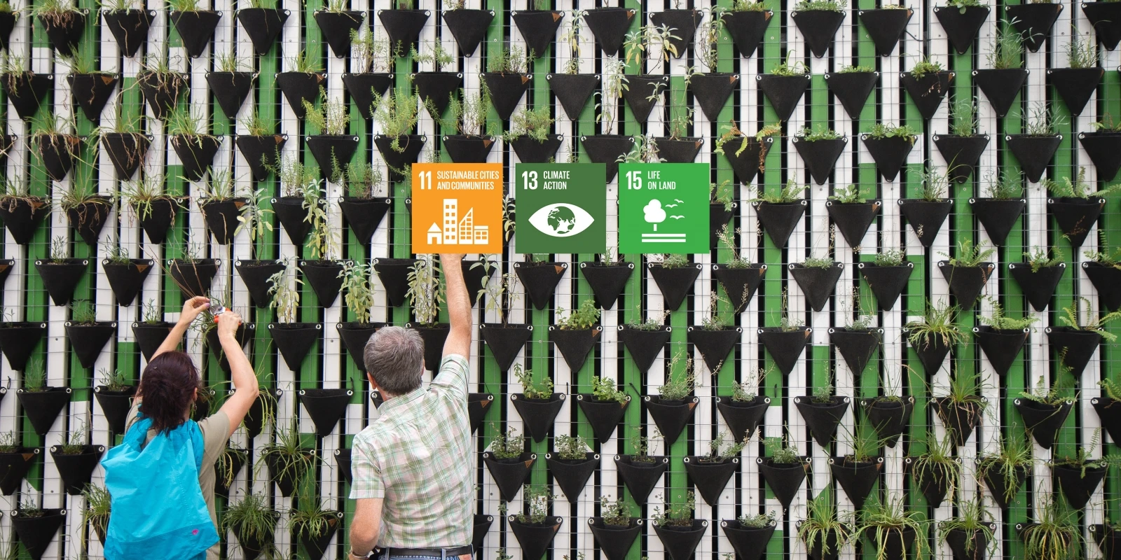 Banner for IMS Luxembourg x Didask testimonial