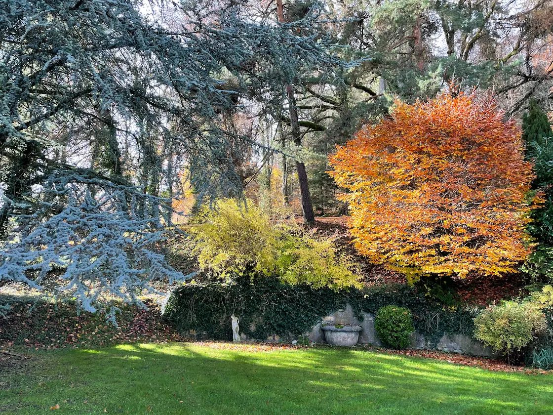 image of a flower bed for a landscaping service