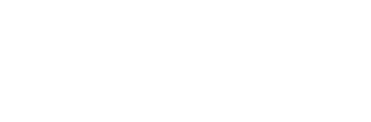 Ray Foil logo