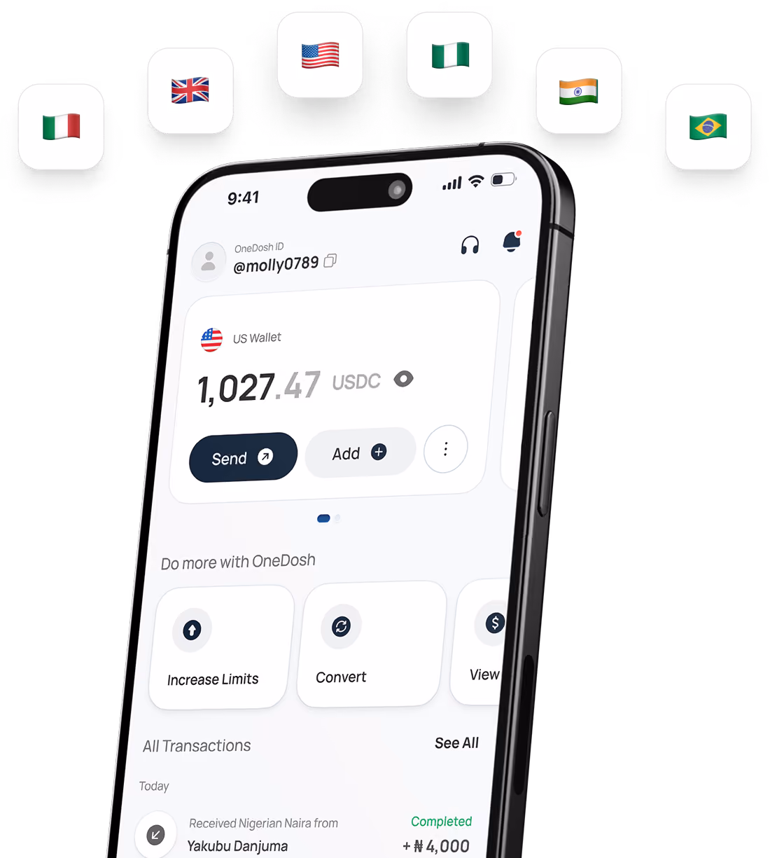 Smartphone screen showing a financial app interface with a US wallet balance of 1,027.47 USDC, buttons to send or add funds, and options to increase limits, convert currency, and view transactions. The transaction section shows a completed receipt of Nigerian Naira from Yakubu Danjuma. Above the phone are icons of six flags: Italy, United Kingdom, United States, Nigeria, India, and Brazil, representing language or currency options.