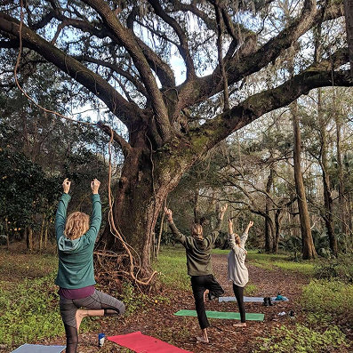Three people practicing yoga in tree pose on mats under a large tree in a wooded area.