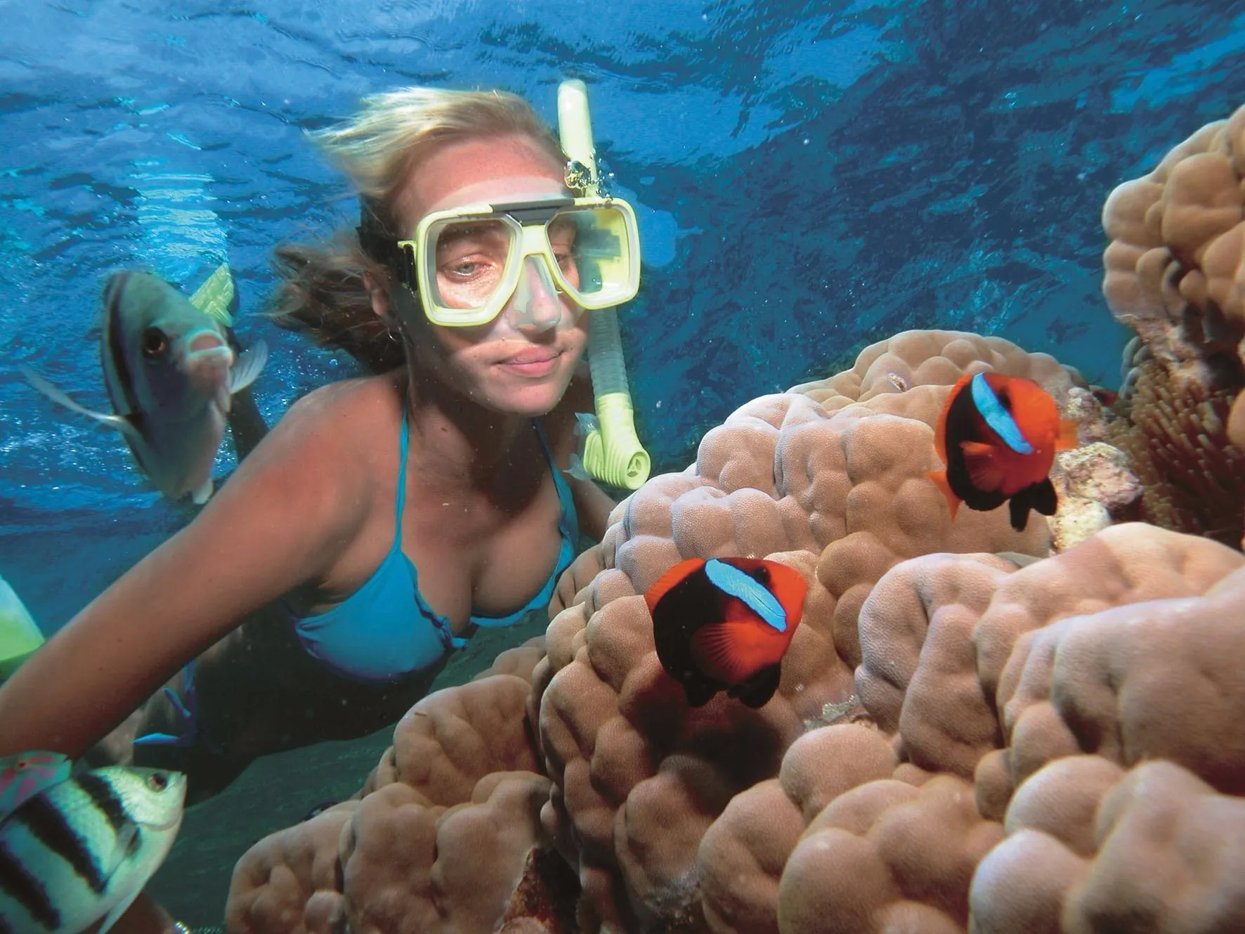 Underwater photo of a female snorkeler looking at a clown fish.