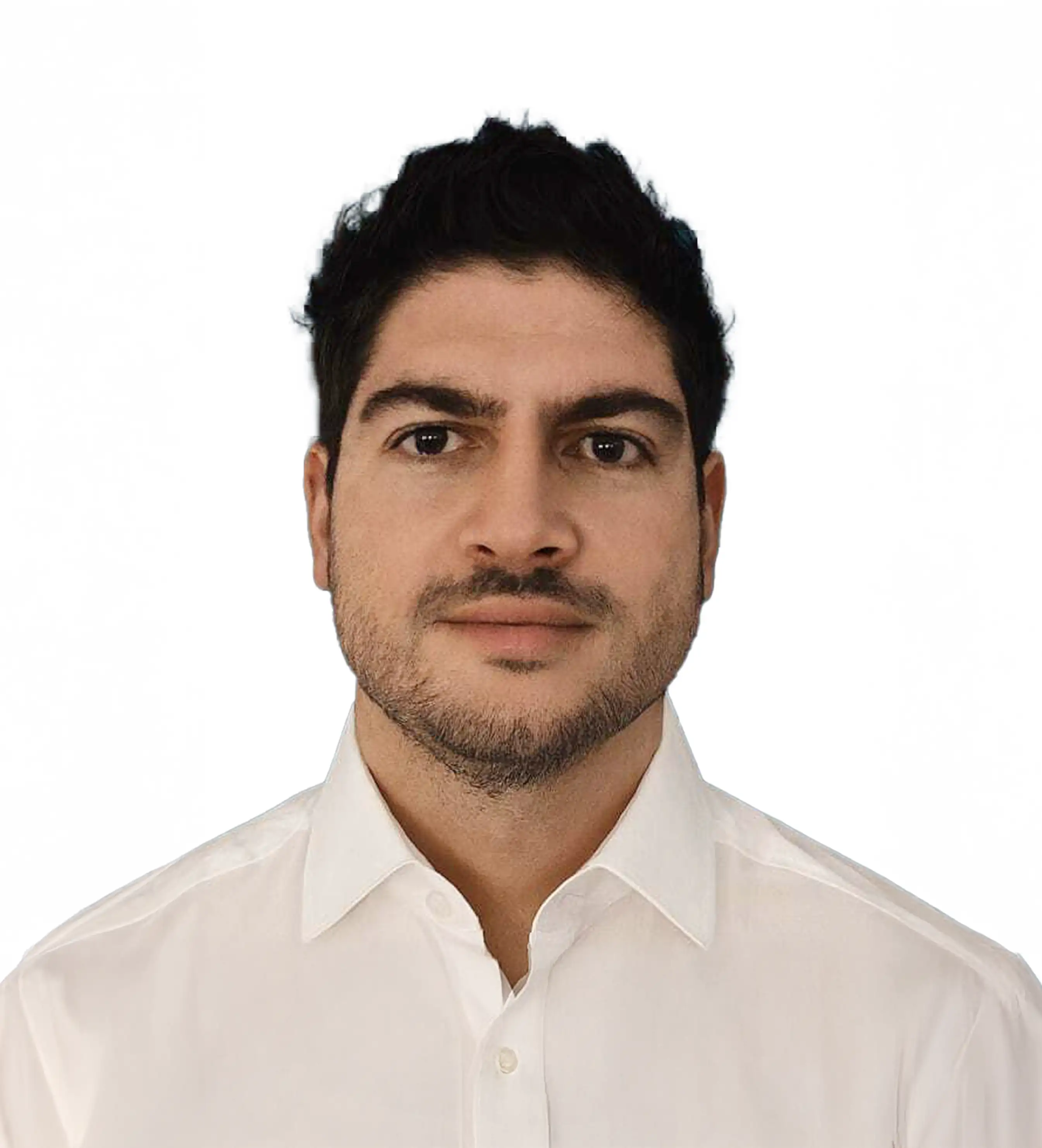 Intoolecta consulting team