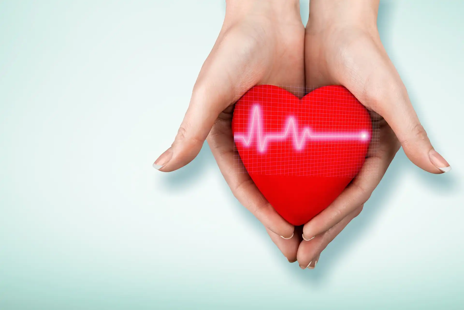 Women's hands holding a plastic heart