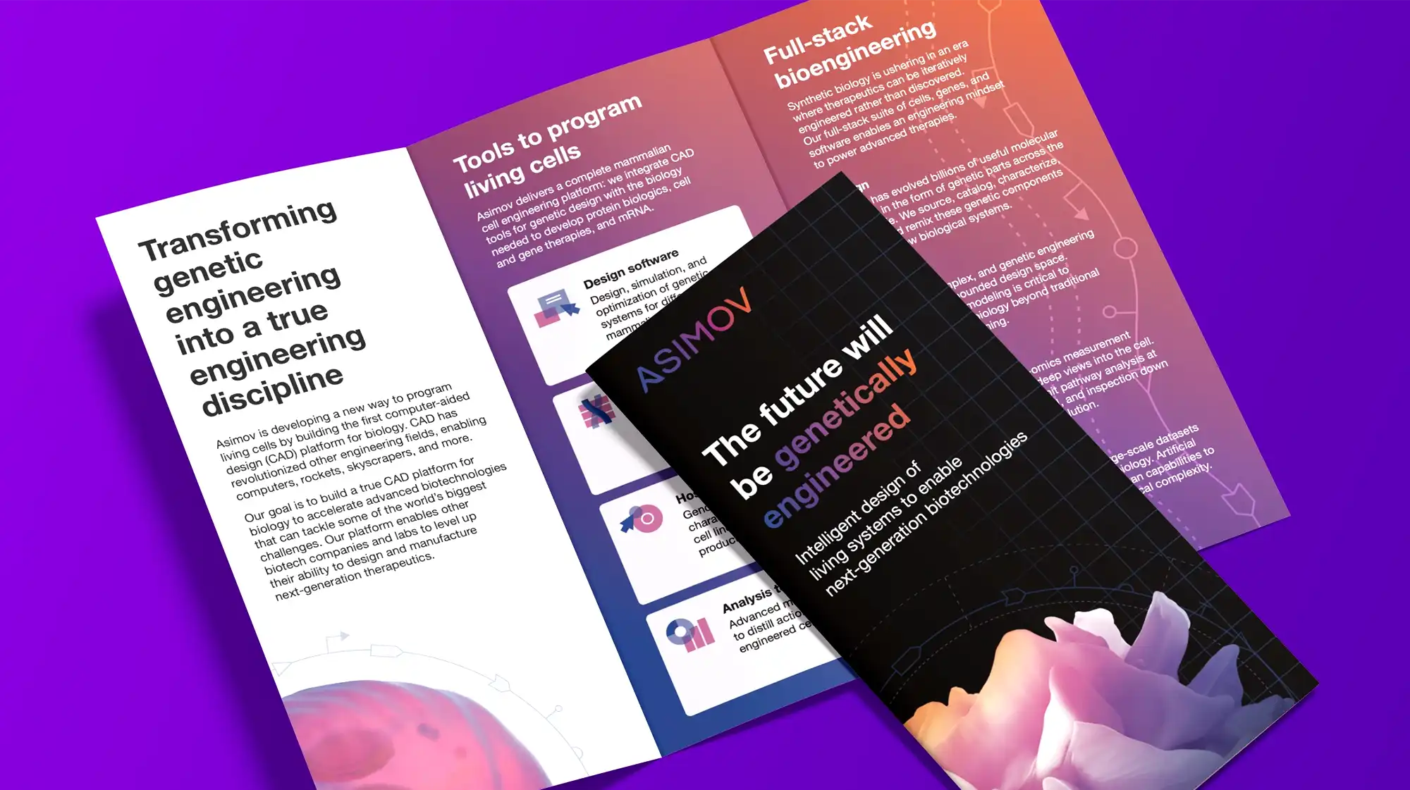 Banner advertisements for an IUD