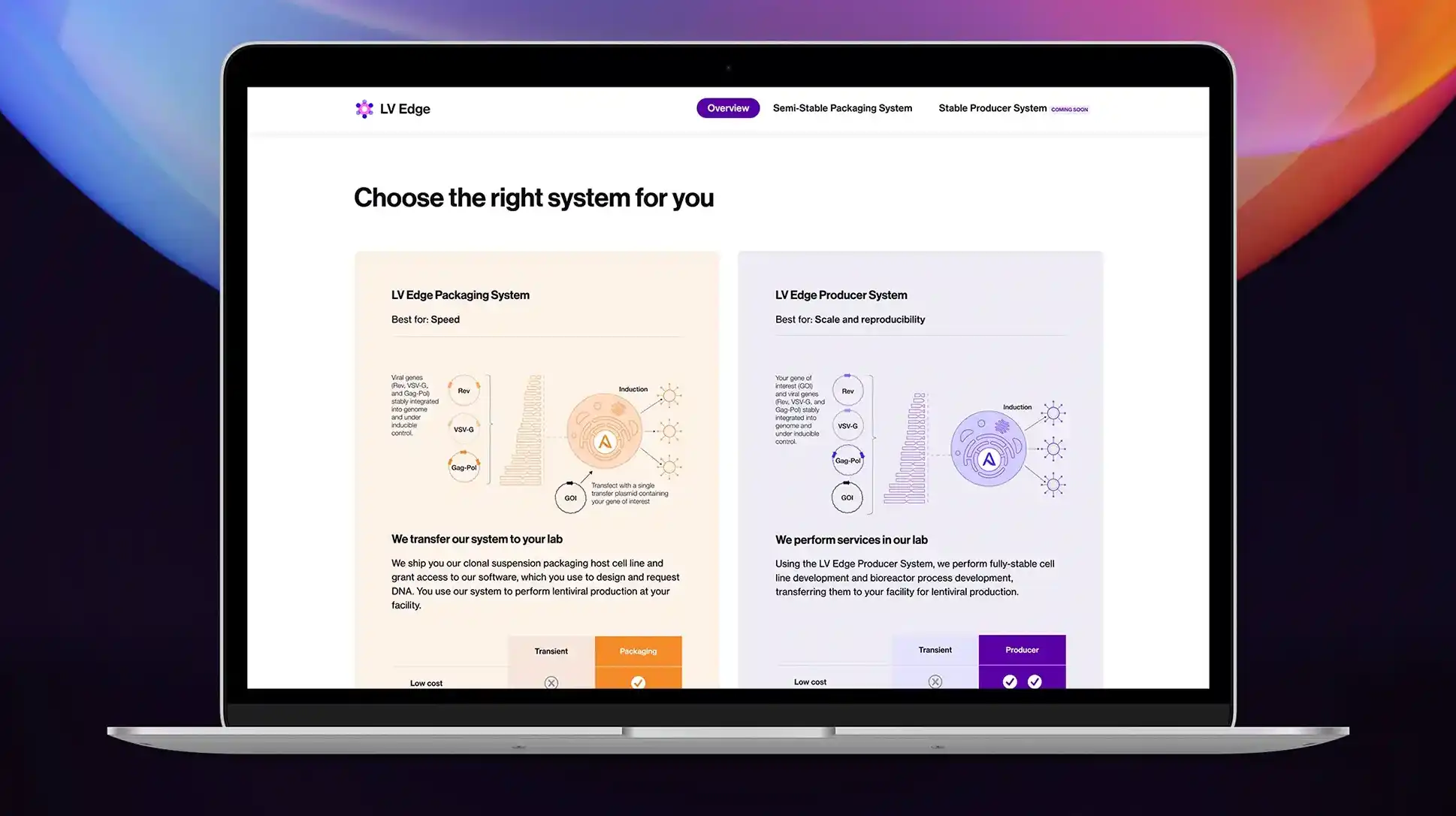 Banner advertisements for an IUD