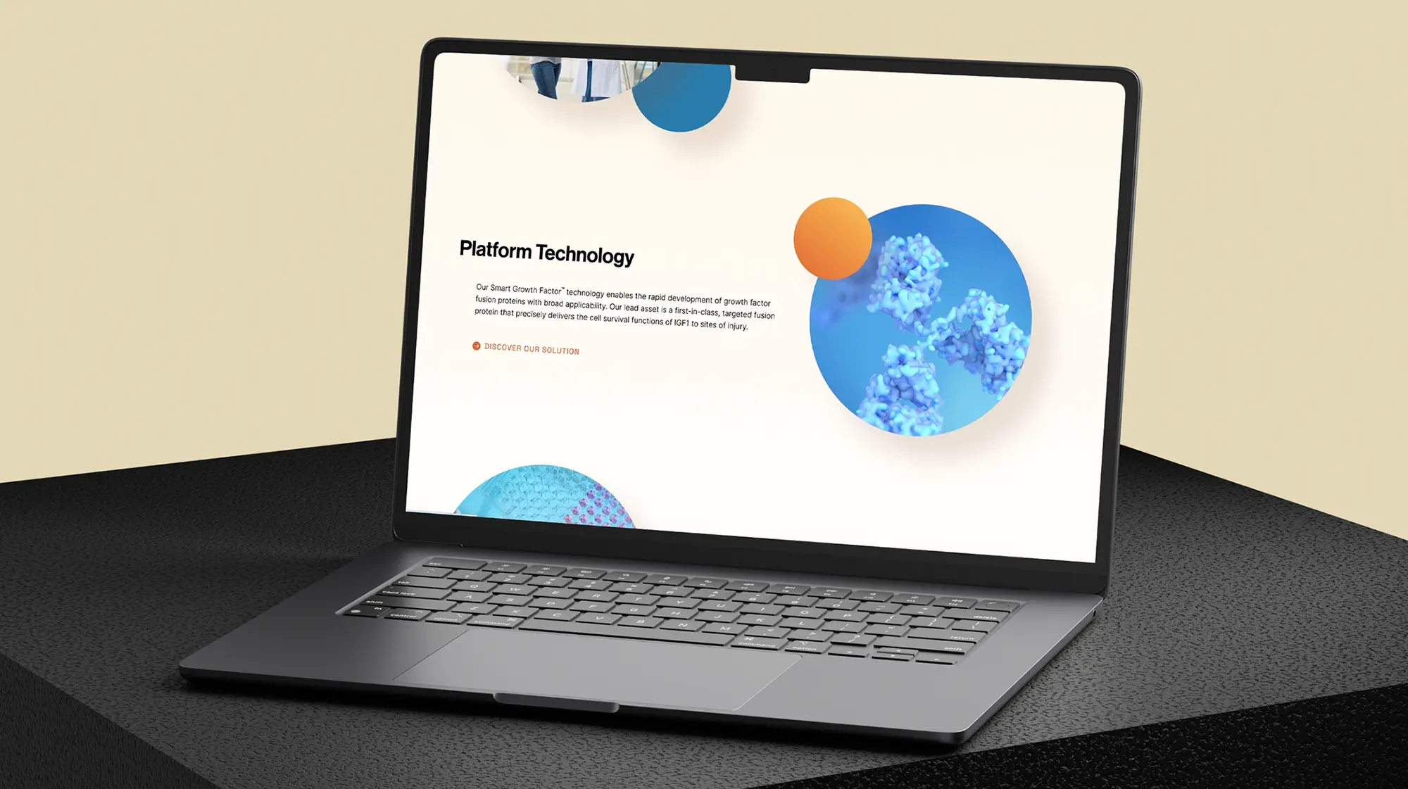 Banner advertisements for an IUD