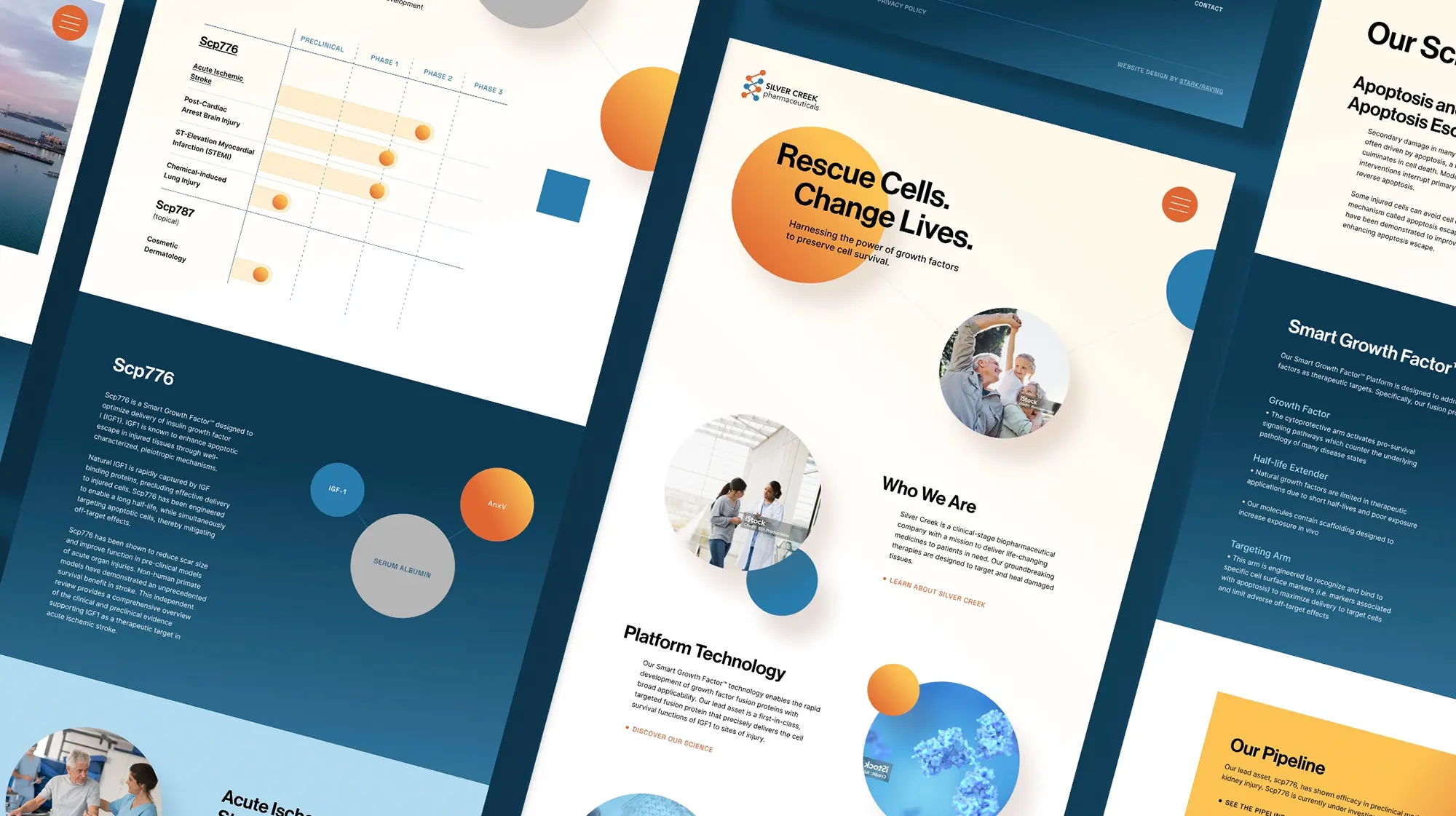 Banner advertisements for an IUD