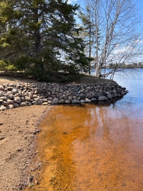 Rock-lined shoreline with clear brownish water, sandy beach, pine and leafless trees under a blue sky.