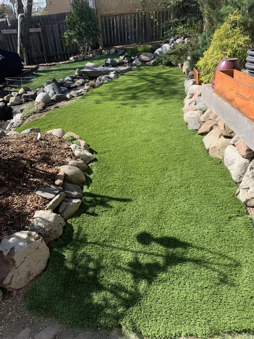 Sunlit backyard path covered with bright green artificial grass bordered by rocks, shrubs, and a wooden fence.