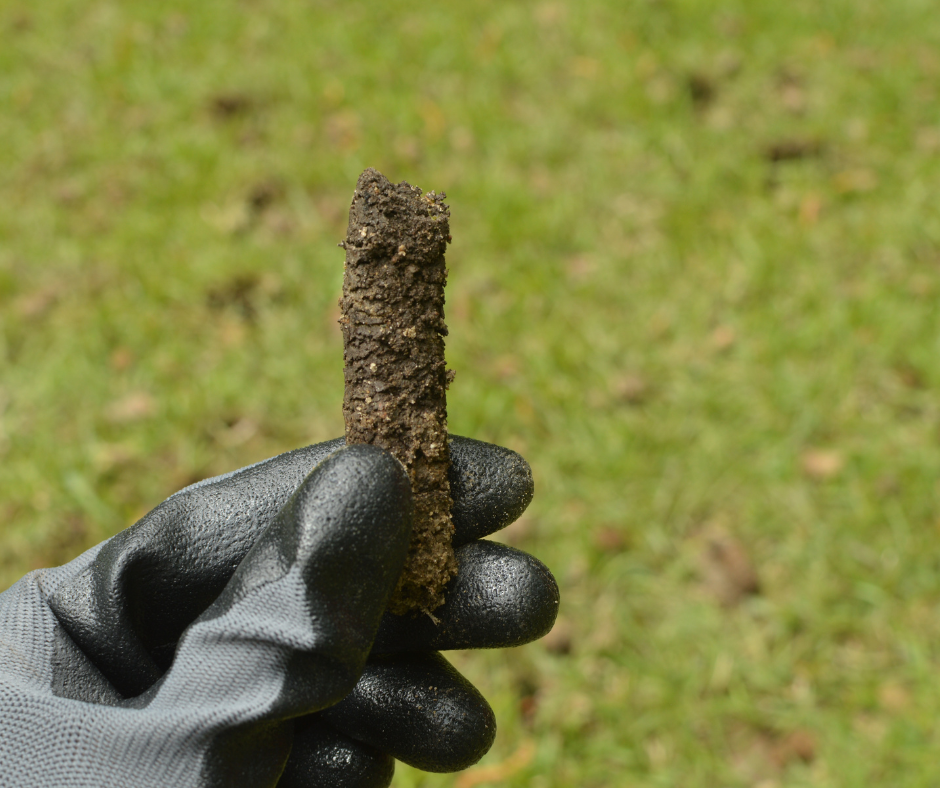 a plug of soil being held up to show what will come out of a yard during aration