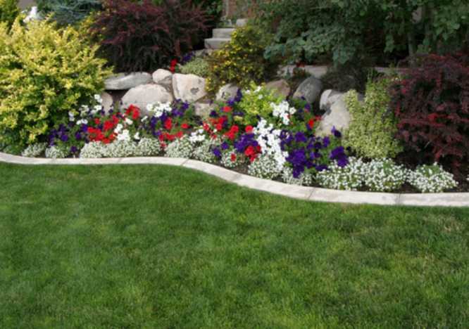 blog-image
