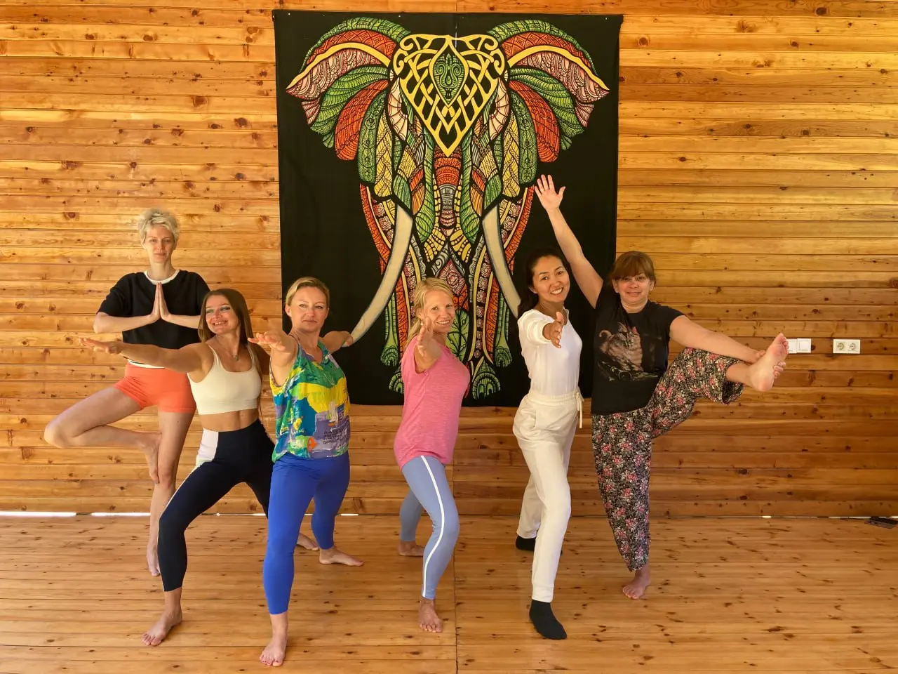 Women doing Warrior pose with elephant background