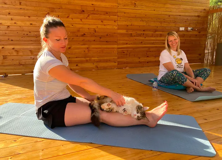 Two women and a cat in the sun