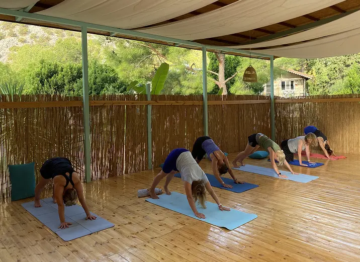 Women practicing yoga - downward facing dog