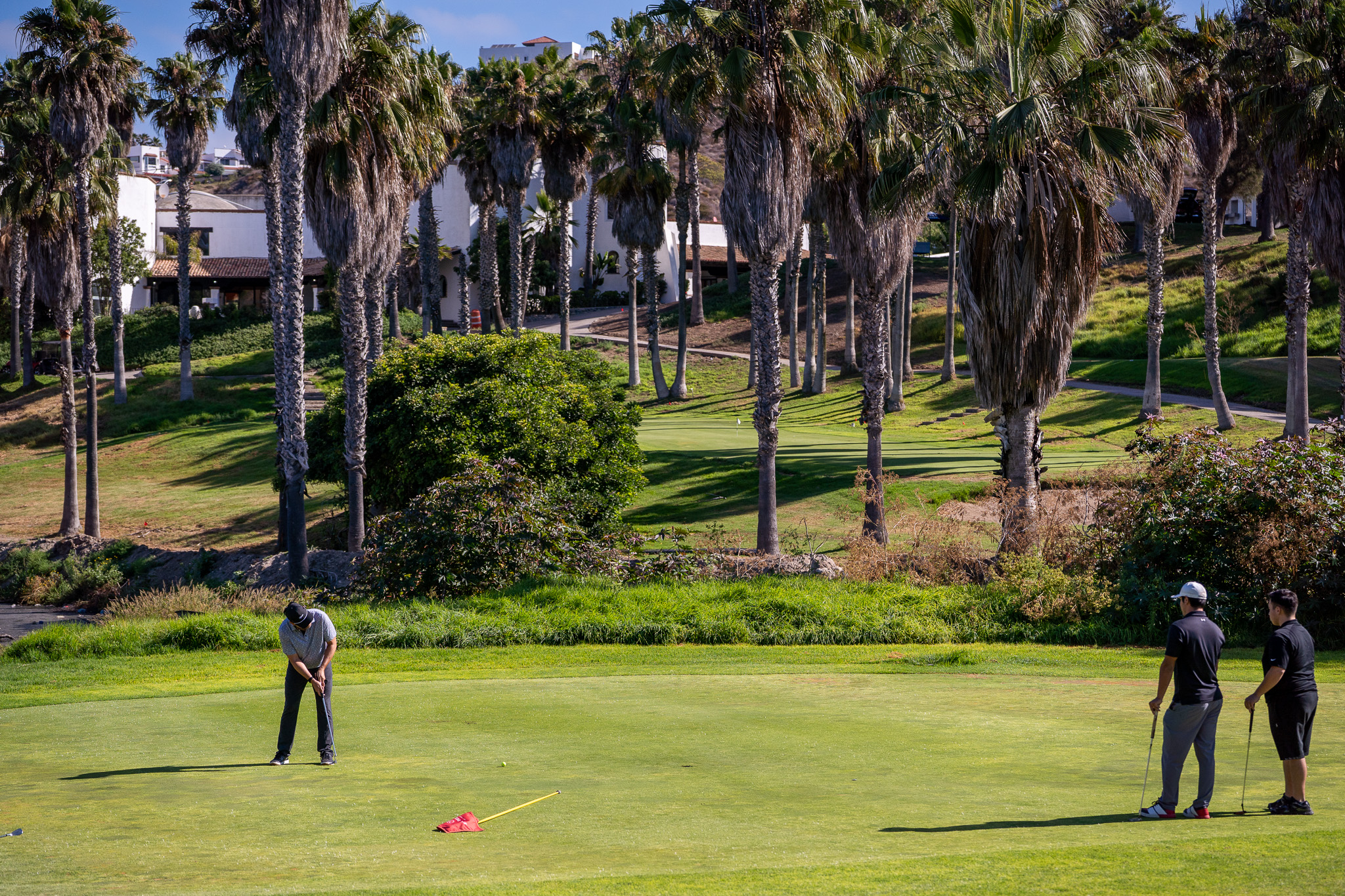 Tres hombres juegan golf en un campo con palmeras y edificios al fondo.