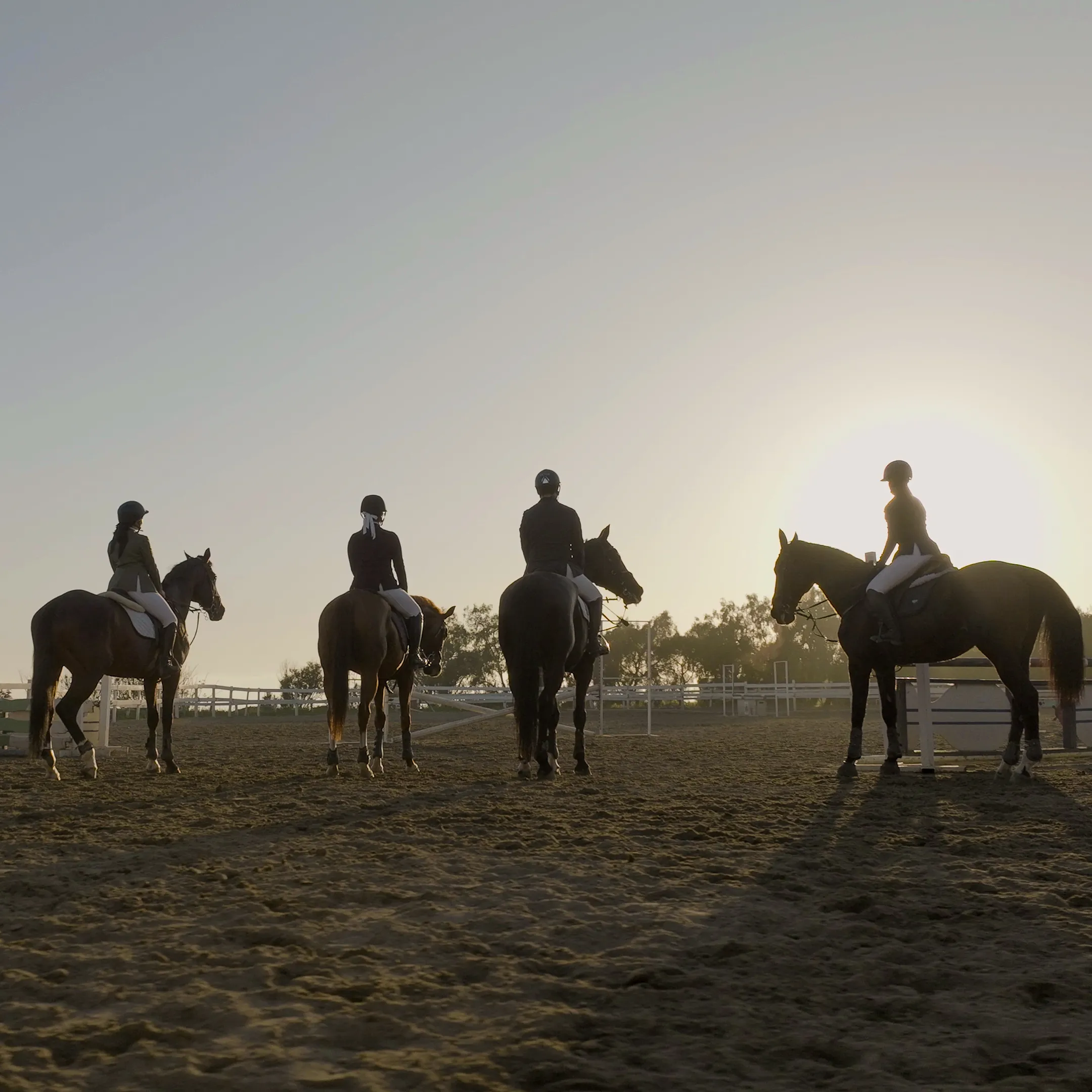 Cuatro jinetes con casco montan caballos al aire libre durante el atardecer.