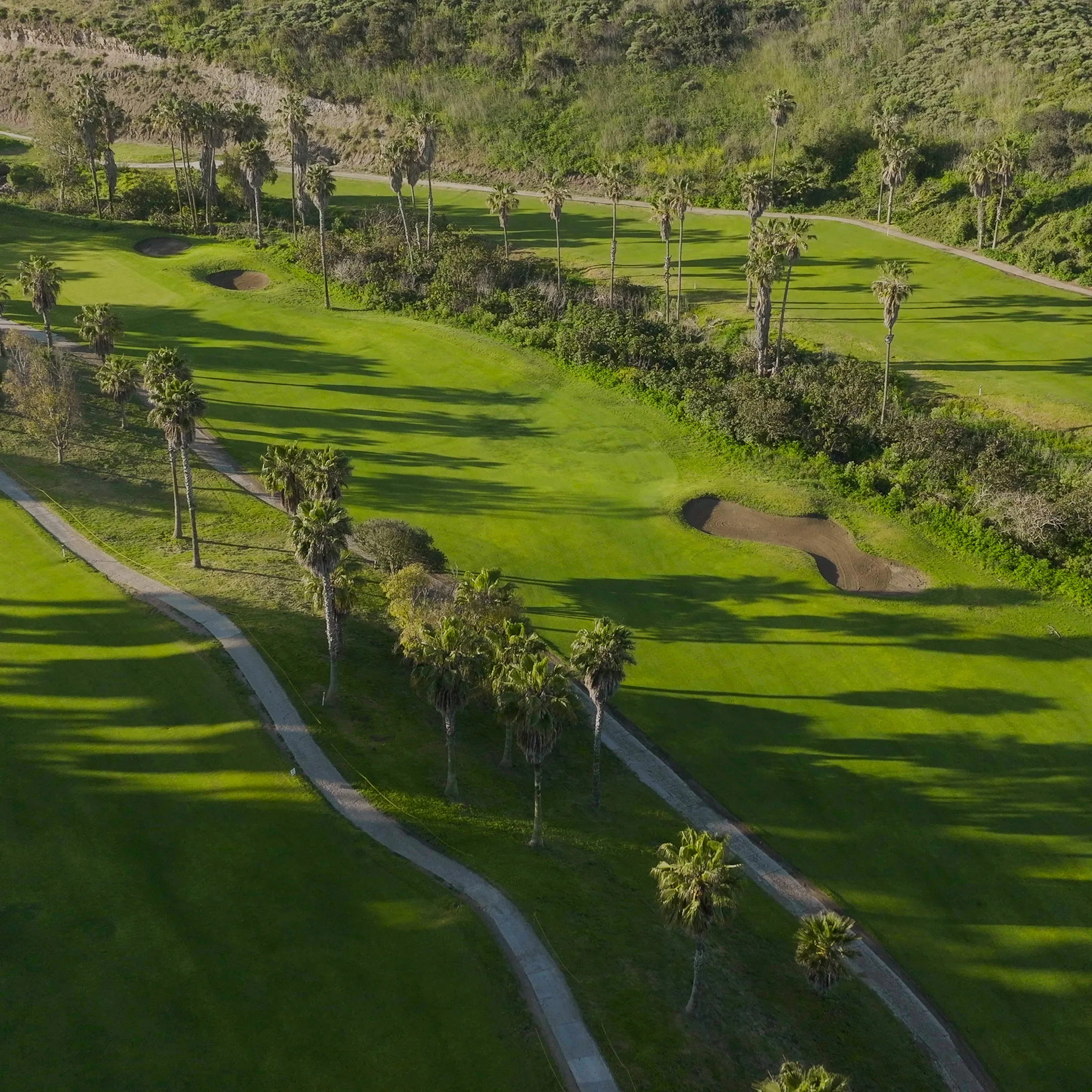 Vista aérea de un campo de golf con palmas, caminos y búnkeres en césped verde.