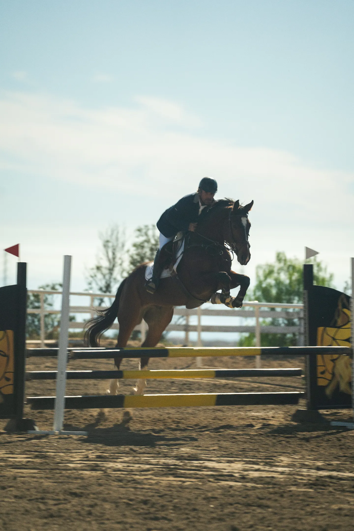 Jinete compitiendo en salto ecuestre montando un caballo que supera valla amarilla y negra.