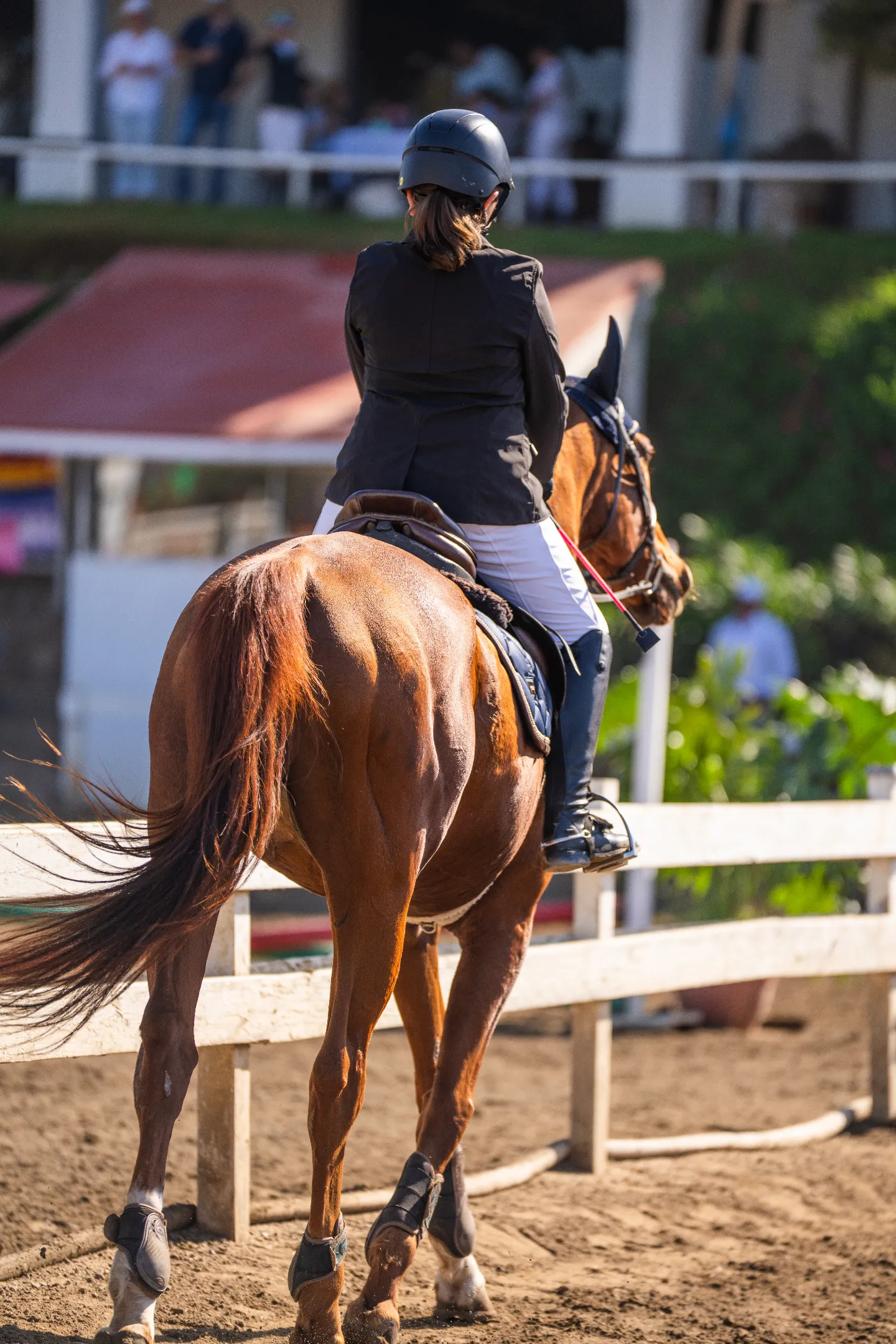 Jinete con casco y chaqueta negra montando un caballo marrón en pista de equitación.