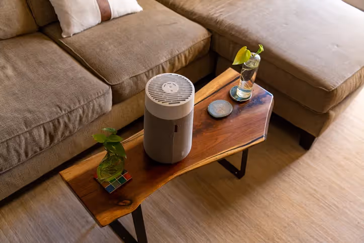 A compact air purifier with a gray fabric wrap is on a live-edge wooden coffee table in a living room.